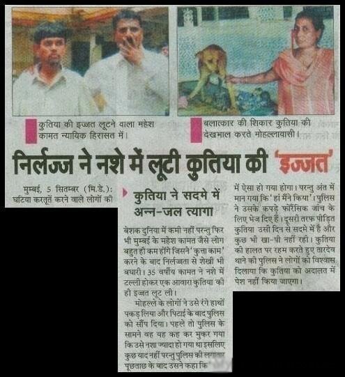 WTF News