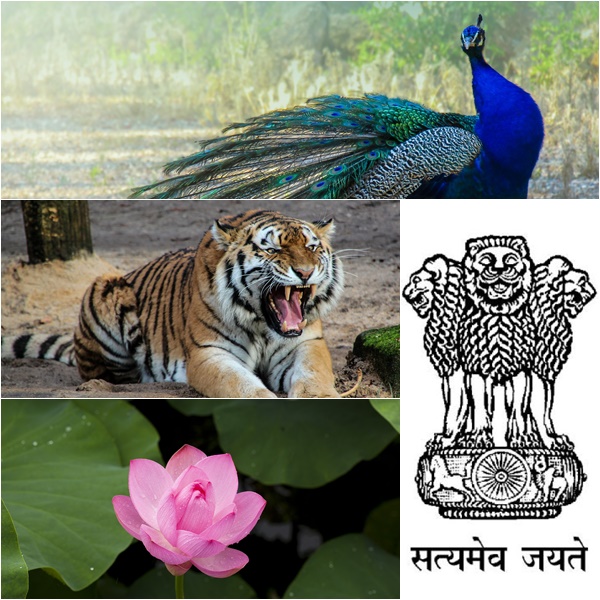 National Symbols of India in Hindi | भारत के राष्ट्रिय चिन्ह