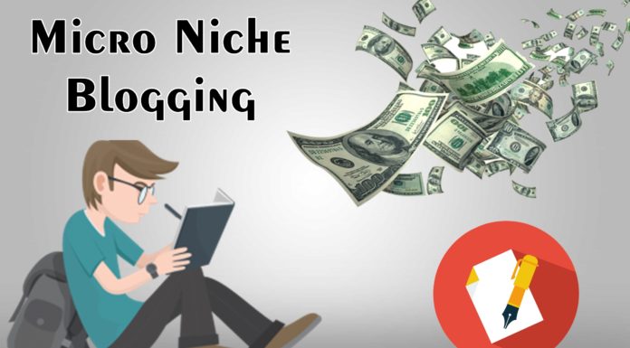 Micro Niche Blogging
