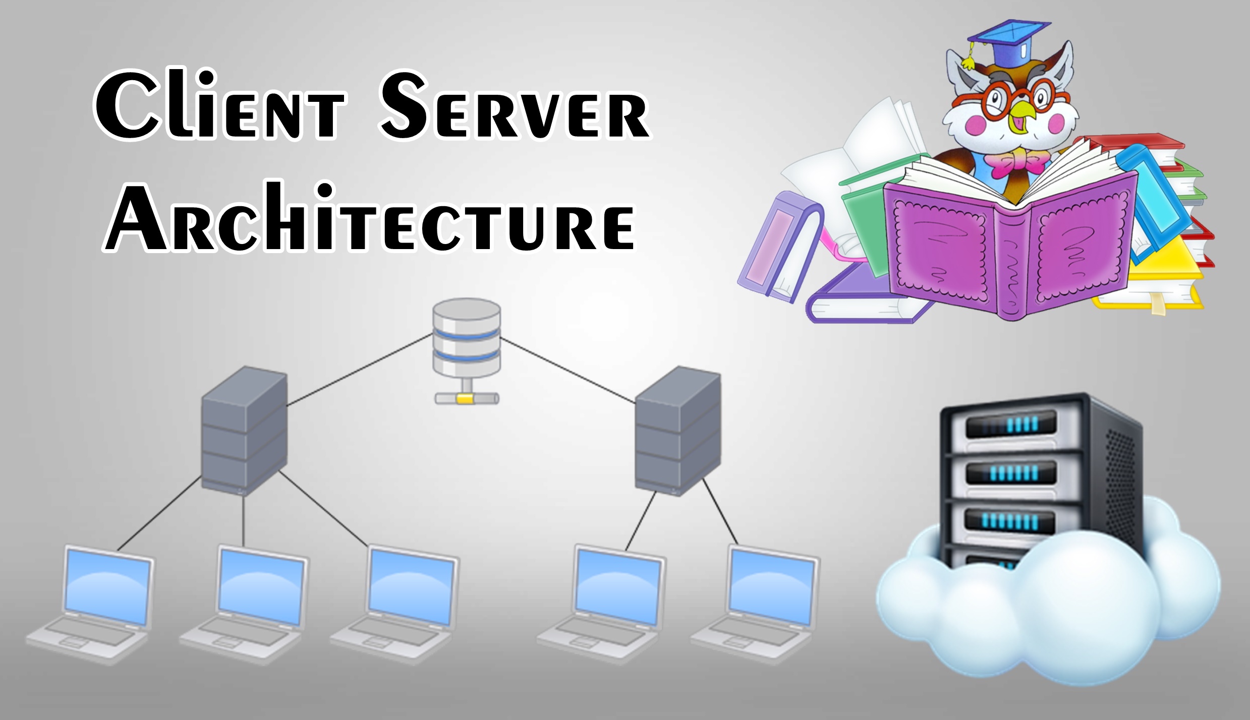 What is Client Server Architecture ? Definition With Video