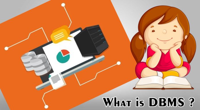 what is Database Management System