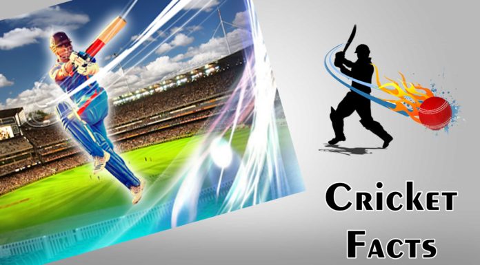 cricket facts and records