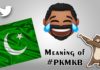 PKMKB Means in Hindi