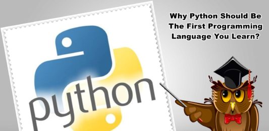 Why Python Should Be The First Programming Language You Learn?