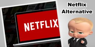 What are alternatives to Netflix