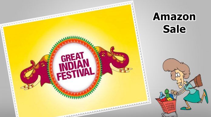 Amazon Great Indian Festival Facts