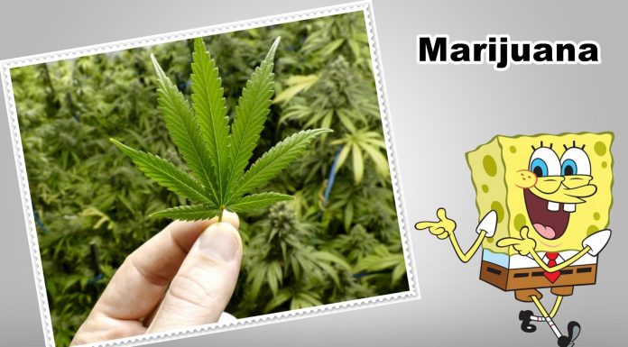 What Are The Medical Benefits of Marijuana ?